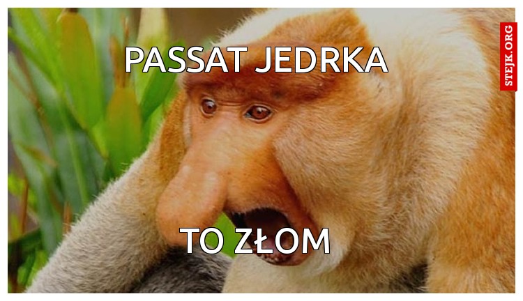 PASSAT JEDRKA 