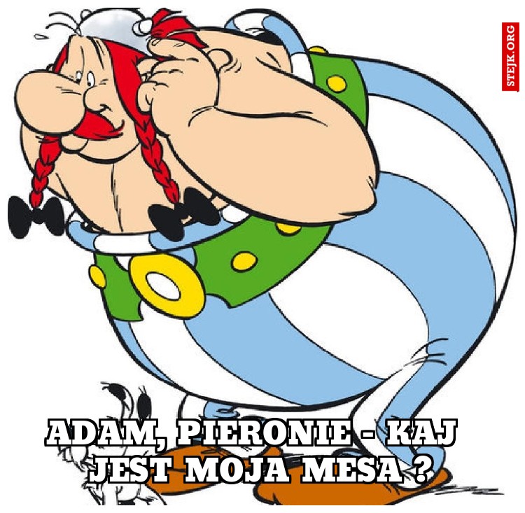 Adam, pieronie - kaj  jest moja mesa ?