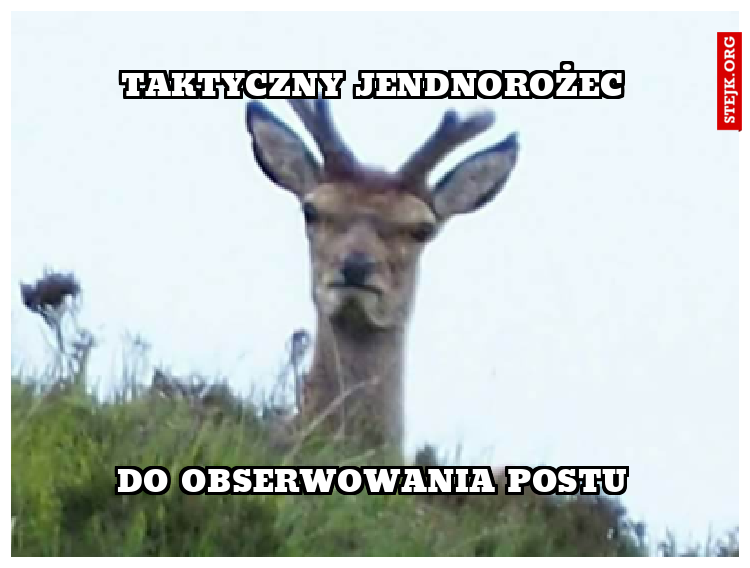 Taktyczny Jendnorożec