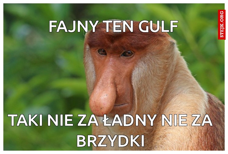 Fajny ten gulf
