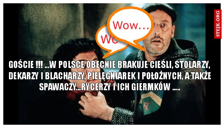 Goście !!! ...w Polsce obecnie brakuje cieśli, stolarzy,  dekarzy i blacharzy, pielęgniarek i położnych, a także spawaczy...rycerzy i ich giermków .....