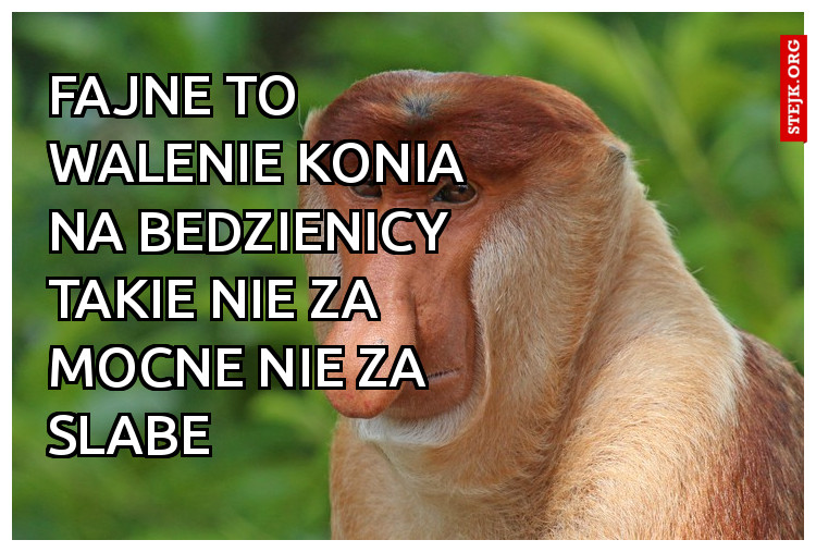 Fajne to walenie konia na bedzienicy takie nie za mocne nie za slabe