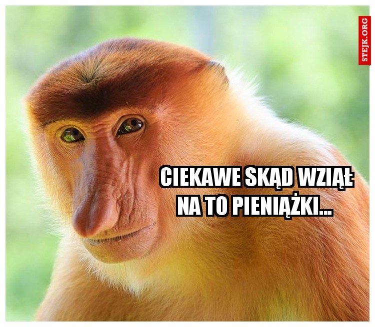 Ciekawe skąd wziął na to pieniążki... 