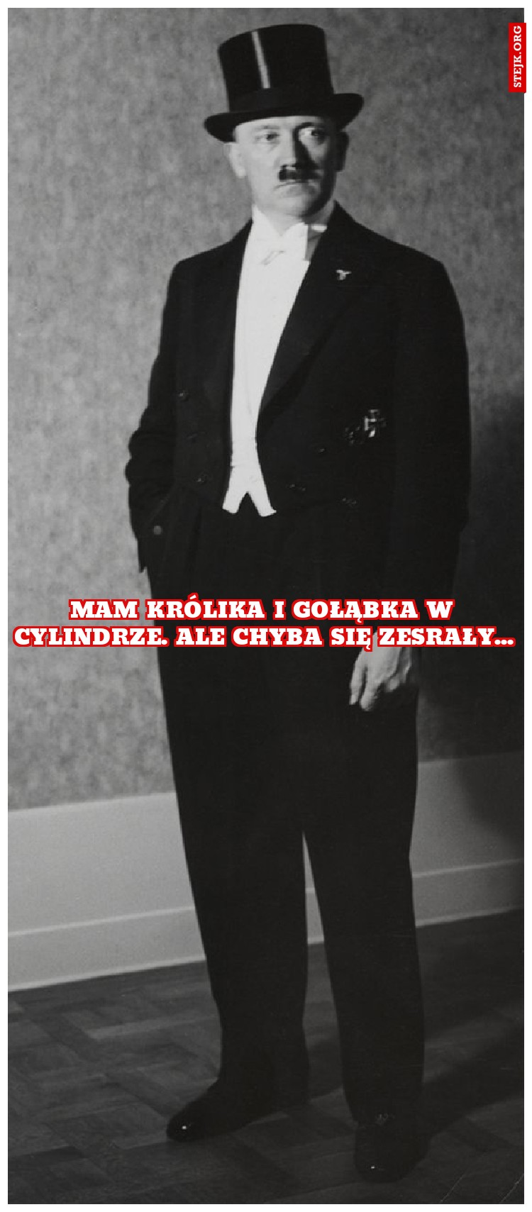 mam królika i gołąbka w cylindrze. ale chyba się zesrały...