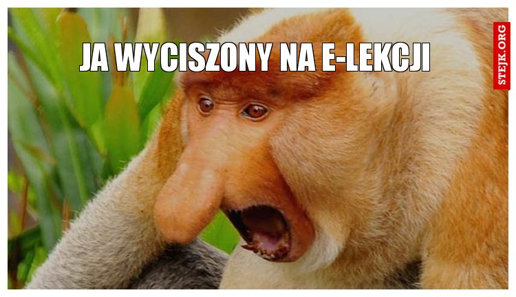 ja wyciszony na e-lekcji