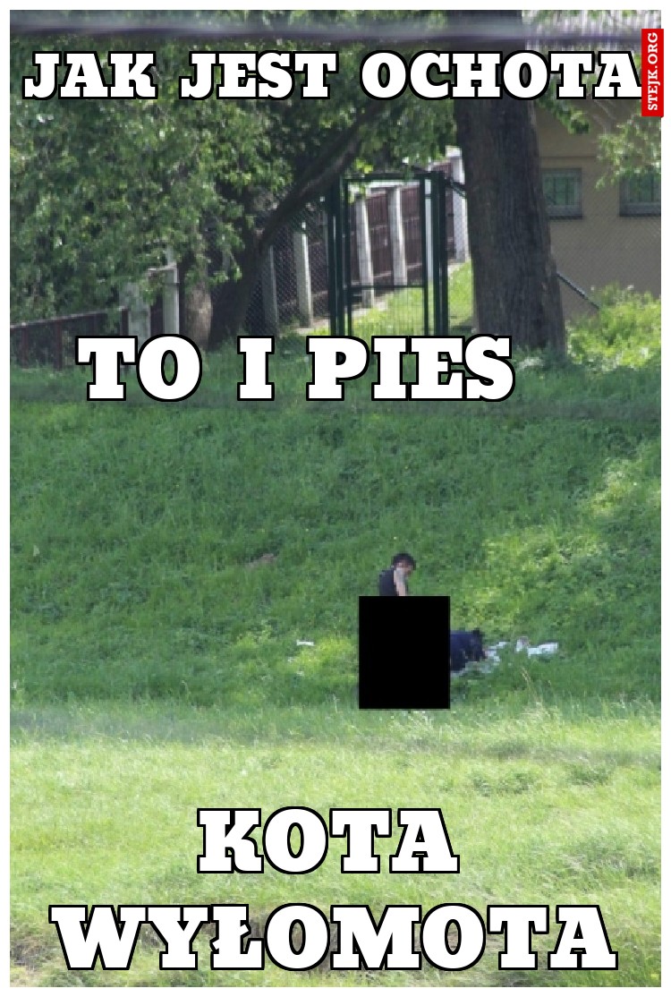 jak jest ochota
