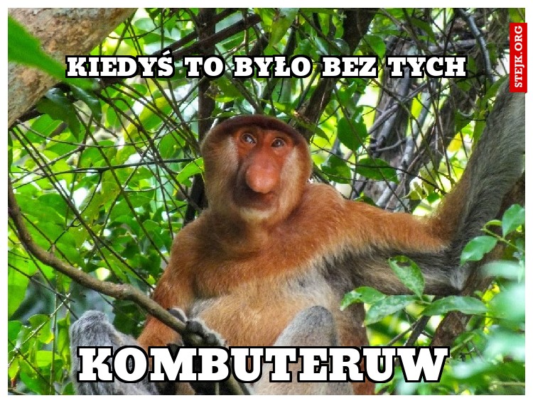 KIEDYŚ TO BYŁO BEZ TYCH 