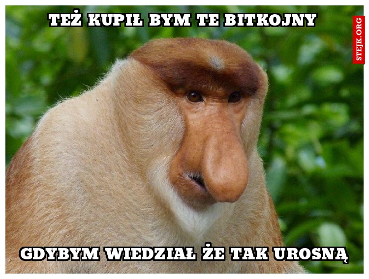 Też kupił bym te bitkojny