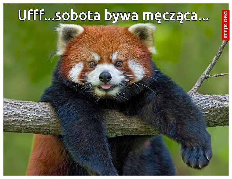 Ufff...sobota bywa męcząca...