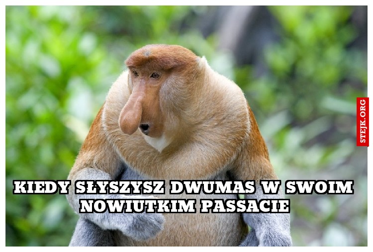 Kiedy słyszysz dwumas w swoim nowiutkim Passacie