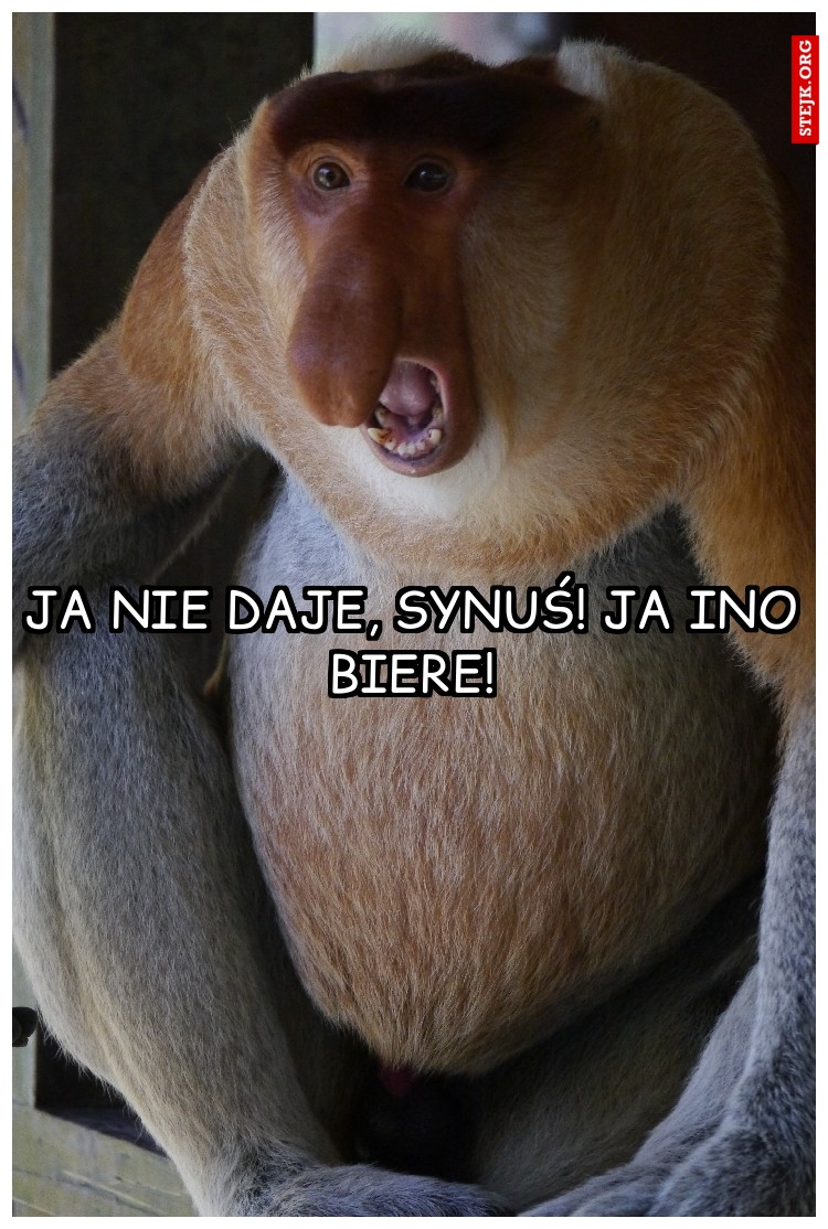 Ja nie daje, synuś! Ja ino biere!