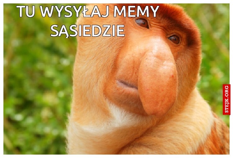Tu wysyłaj memy sąsiedzie