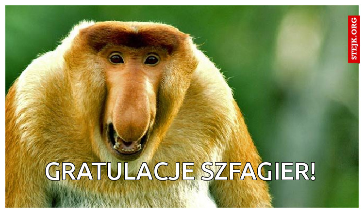 GRATULACJE SZFAGIER!