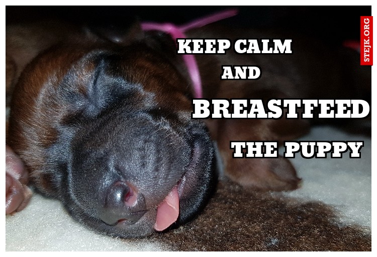 keep calm