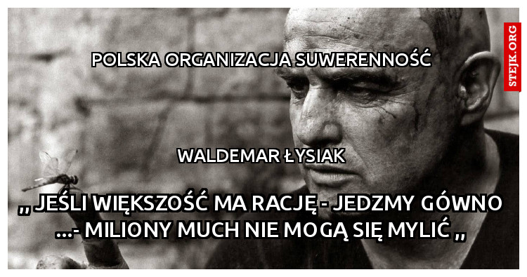 polska organizacja suwerenność