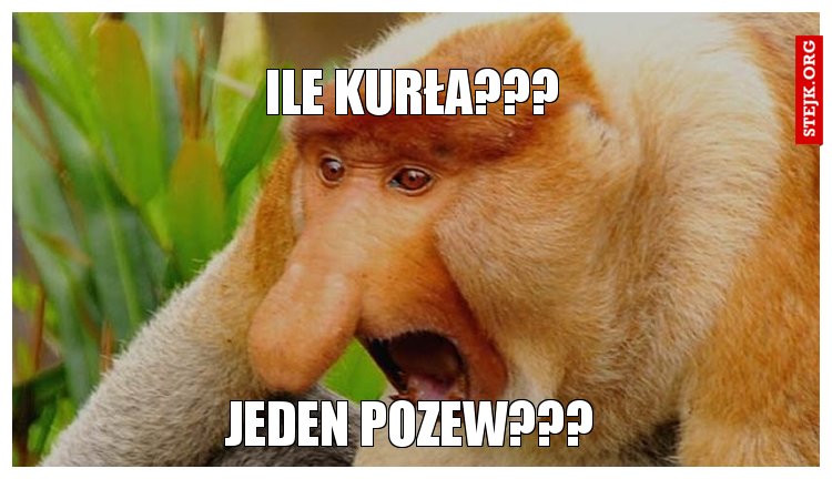Ile kurła???