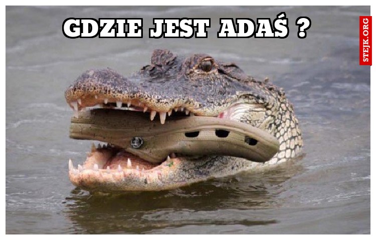 Gdzie jest Adaś ?