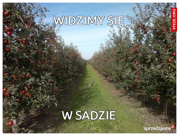 widzimy się