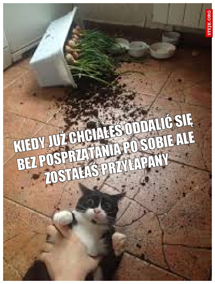 Kiedy już chciałeś oddalić się bez posprzątania po sobie ale zostałaś przyłapany 