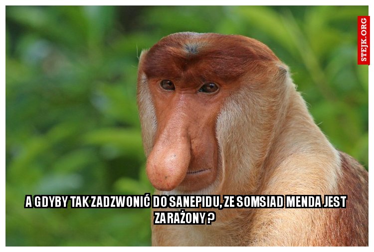 a gdyby tak zadzwonić do sanepidu, ze somsiad menda jest zarażony ? 