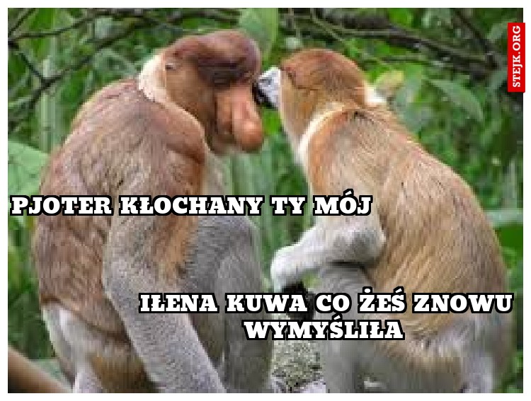 Magda nie bój się mnie 