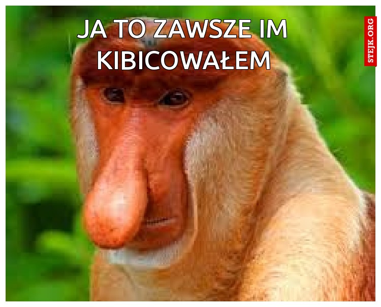Ja to zawsze im kibicowałem