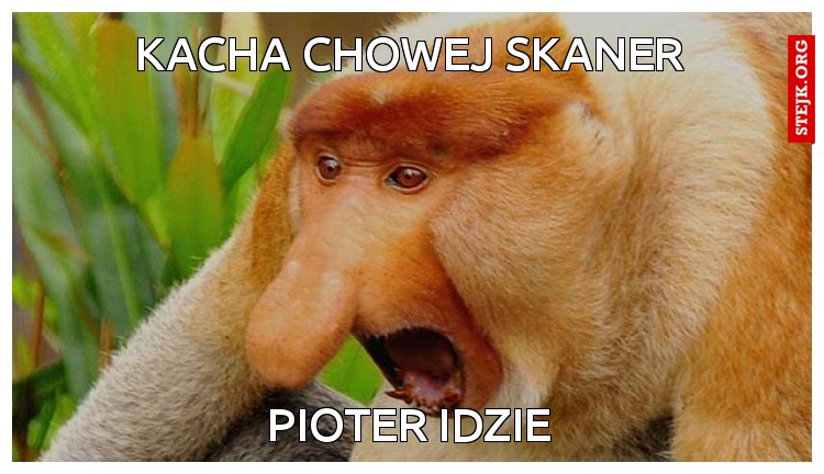 Kacha chowej skaner