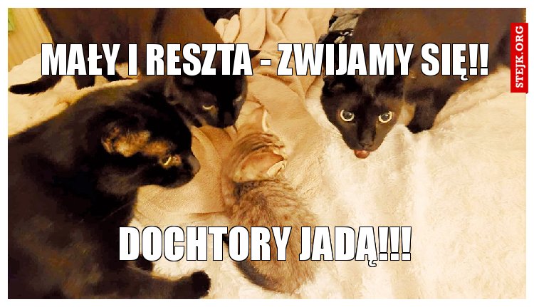 Mały i reszta - zwijamy się!!