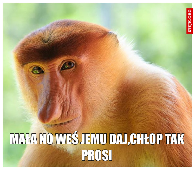 Mała no weś jemu daj,chłop tak prosi