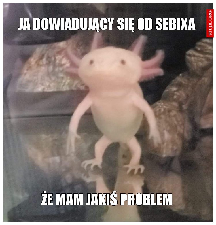 Ja dowiadujący się od Sebixa