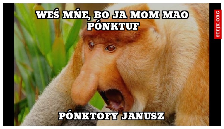 Weś mńe, Bo ja mom Mao pónktuf