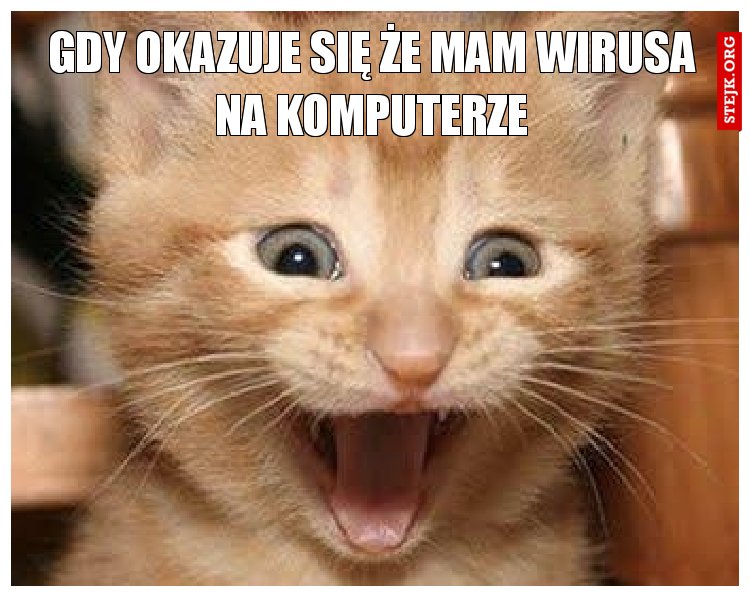 Gdy okazuje się że mam wirusa na komputerze