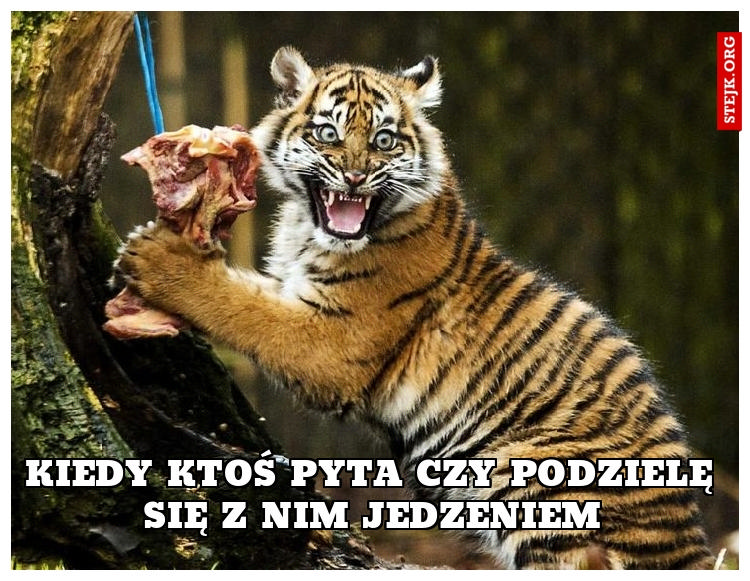 Kiedy ktoś pyta czy podzielę się z nim jedzeniem