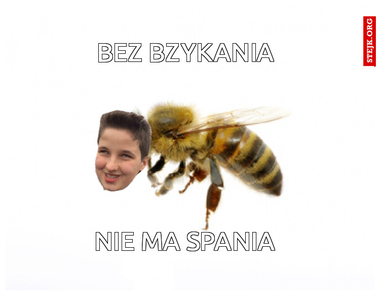 Bez bzykania