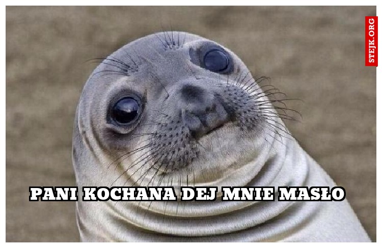 PANI KOCHANA DEJ MNIE MASŁO