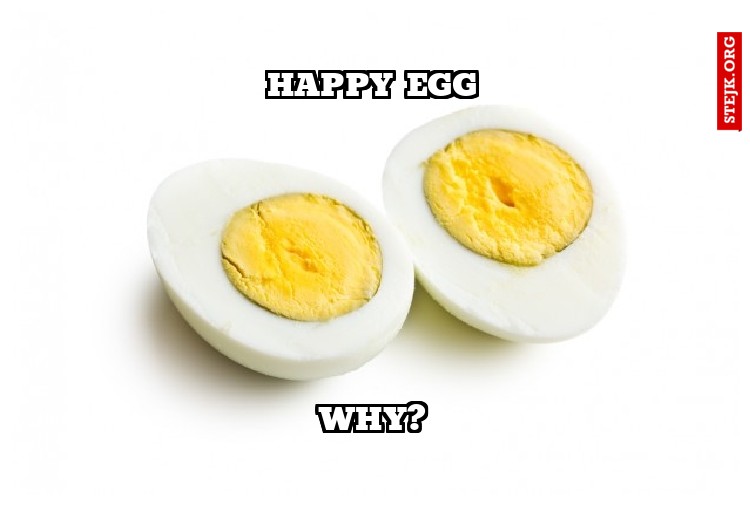 xd