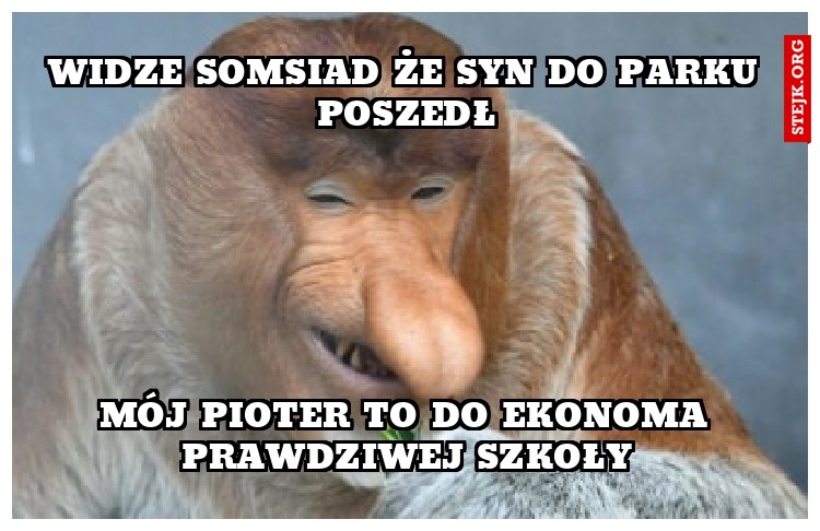 widze somsiad że syn do parku poszedł