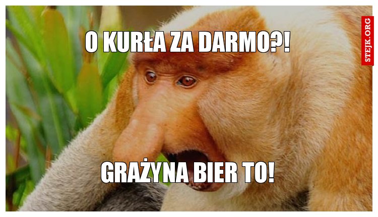 o kurła za darmo?!