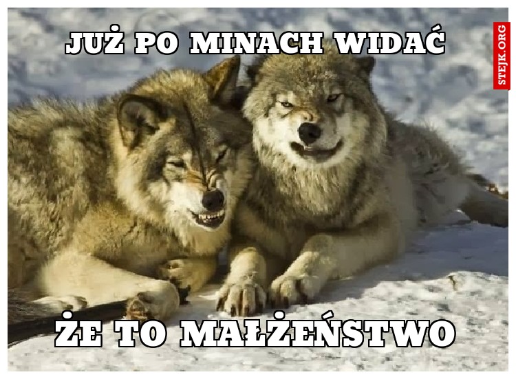 Już po minach widać