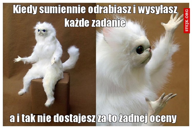 Kiedy sumiennie odrabiasz i wysyłasz każde zadanie
