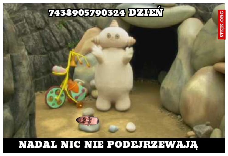 63826489230 DZNIEŃ