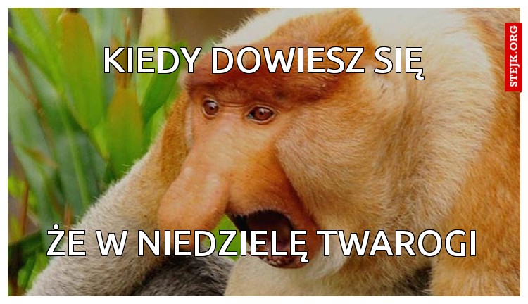Kiedy dowiesz się