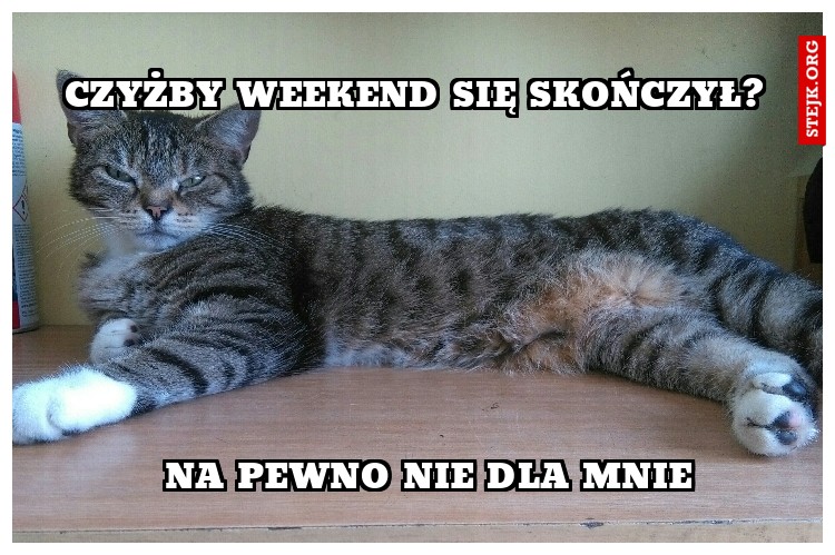 Czyżby weekend się skończył?