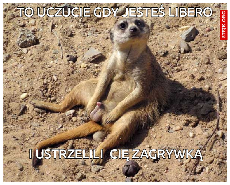 to uczucie gdy jesteś libero