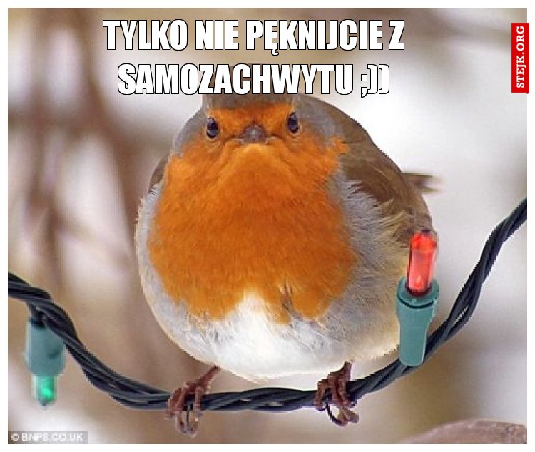 Tylko nie pęknijcie z samozachwytu ;))