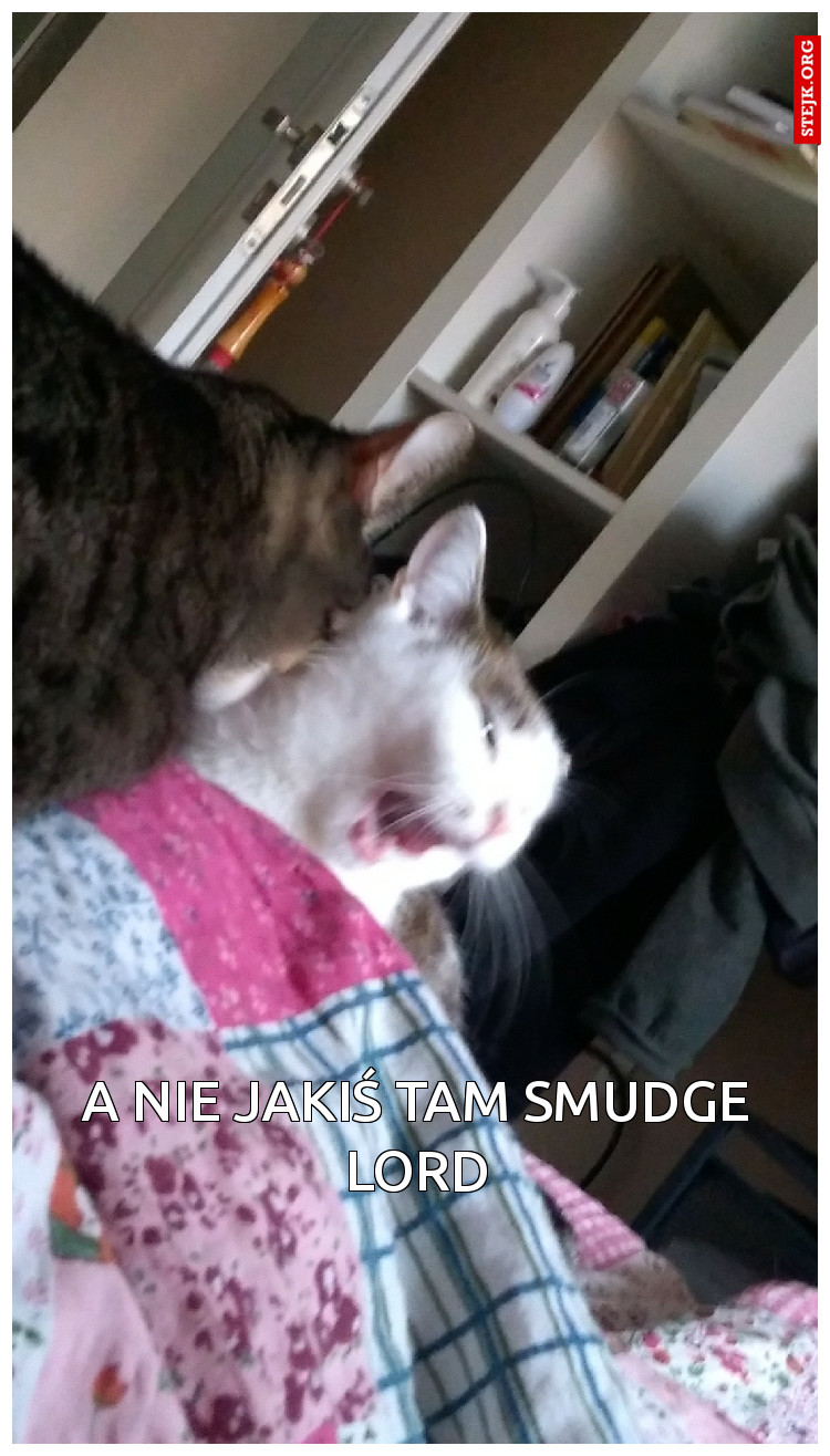 A nie jakiś tam smudge lord
