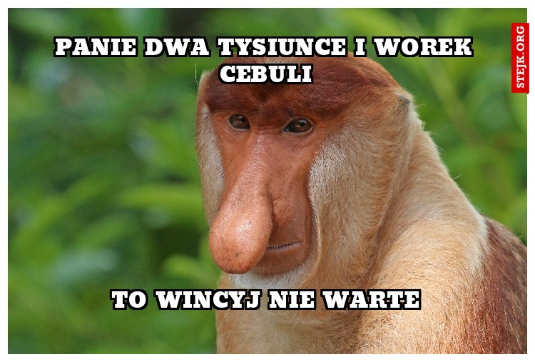 panie dwa tysiunce i worek cebuli