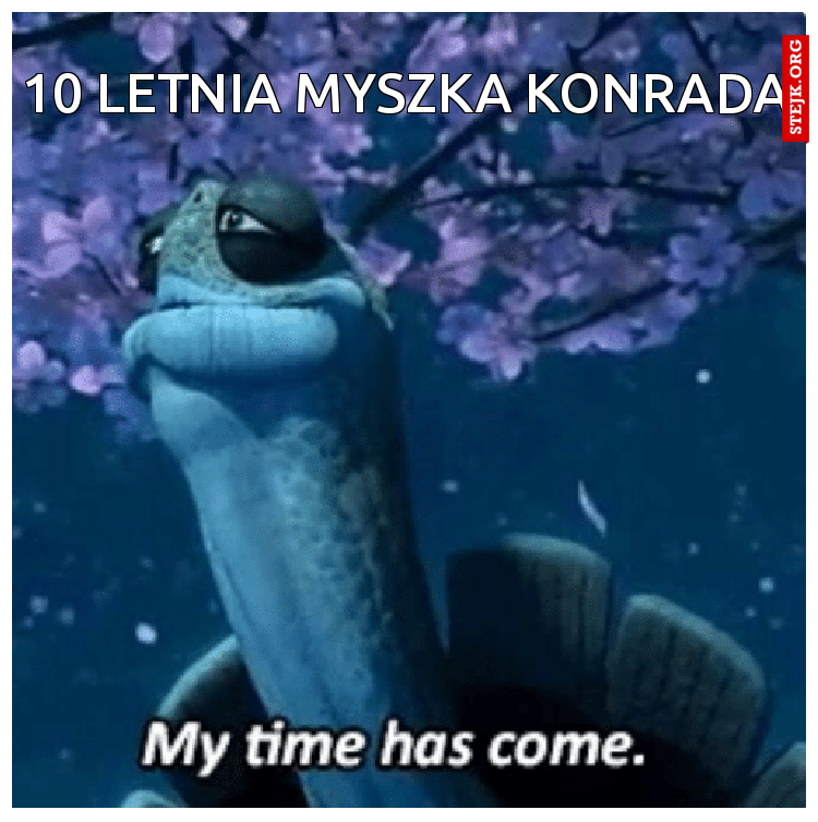 10 letnia myszka konrada