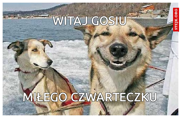 Witaj Gosiu