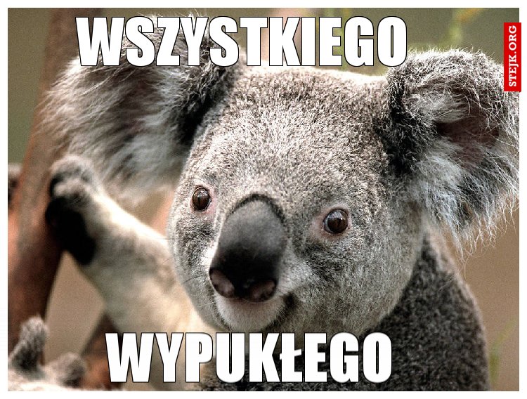 wszystkiego